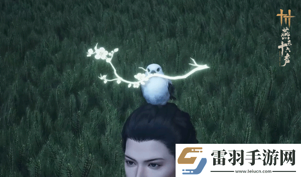 燕云十六聲全新外觀爆料