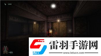 飄流幻境海盜洞怎么下