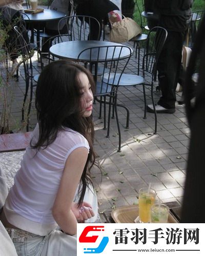 x86國產-x86國產漢化版v6.3.12