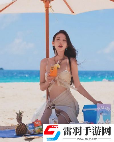 solidworks永久免費版-solidworks永久免費版高清版v4.6.4