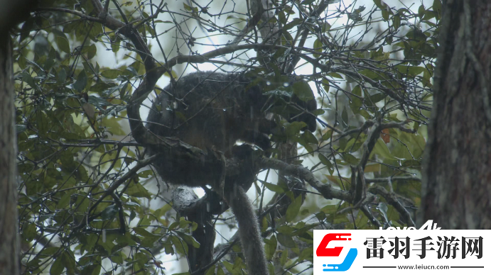 27電影院2018在線理論吃雞專屬版下載，27電影院2018在線理論坐騎免費送騎版下載v7.7.2免費版