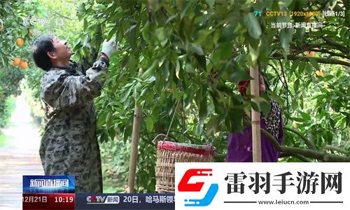 丫丫影院最新電視劇免費下載-丫丫影院最新電視劇免費下載